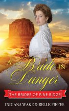 Bride in Danger
