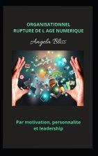 Organisationnel Rupture de L Age Numerique