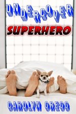 Undercover Superhero
