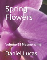 Spring Flowers