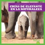 Crнas de Elefante En La Naturaleza (Elephant Calves in the Wild)