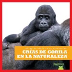 Crнas de Gorila En La Naturaleza (Gorilla Infants in the Wild)