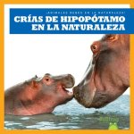 Crнas de Hipopуtamo En La Naturaleza (Hippopotamus Calves in the Wild)