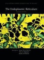 The Endoplasmic Reticulum