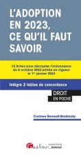 Réforme de l'adoption : ce que prévoit la loi