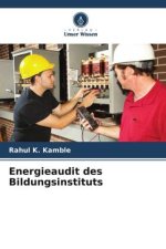 Energieaudit des Bildungsinstituts