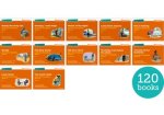 Read Write Inc. Phonics: Orange Set 4 More Storybooks (Pack of 120)