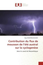 Contribution du flux de mousson de l?été austral sur la cyclogen?se