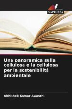 Una panoramica sulla cellulosa e la cellulosa per la sostenibilit? ambientale