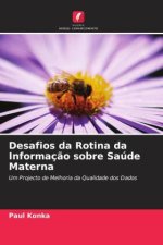 Desafios da Rotina da Informaç?o sobre Saúde Materna