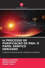m PROCESSO DE PURIFICAÇ?O DE RNA: O PAPEL GRÁFICO DERIVADO