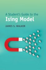 Student's Guide to the Ising Model
