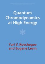 Quantum Chromodynamics at High Energy