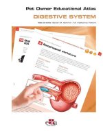 Pet Owner Educational Atlas. Digestive System