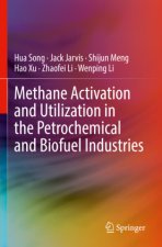 Methane Activation and Utilization in the Petrochemical and Biofuel Industries