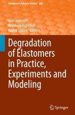 Degradation of Elastomers in Practice, Experiments and Modeling