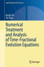 Numerical Treatment and Analysis of Time-Fractional Evolution Equations