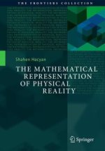 The Mathematical Representation of Physical Reality
