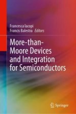 More-than-Moore Devices and Integration for Semiconductors