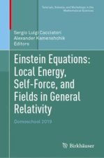 Einstein Equations: Local Energy, Self-Force, and Fields in General Relativity