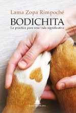 Bodichita : la práctica para una vida significativa