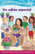 Un Adiós Especial (Confetti Kids #12): (A Special Goodbye)