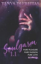 Soulgasm 1.1