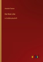 Die Rote Lilie