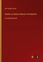 Goethe zu dessen näherem Verständnis