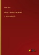 Der arme Verschwender
