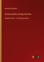 Schwarzwälder Dorfgeschichten