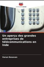 Un aperçu des grandes entreprises de télécommunications en Inde