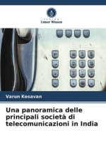 Una panoramica delle principali societ? di telecomunicazioni in India
