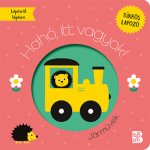 Hahó, itt vagyok! - Járművek