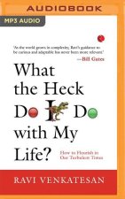 What the Heck Do I Do with My Life?: How to Flourish in Our Turbulent Times
