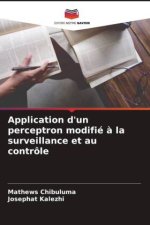 Application d'un perceptron modifié ? la surveillance et au contrôle