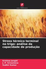 Stress térmico terminal no trigo: análise da capacidade de produç?o