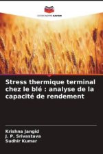 Stress thermique terminal chez le blé : analyse de la capacité de rendement