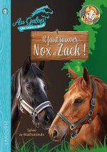 Roman AU GALOP, une année à cheval - A la recherche de Nox et Zach