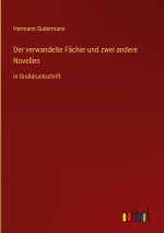 Der verwandelte Fächer und zwei andere Novellen