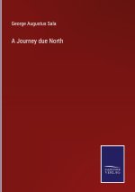 A Journey due North
