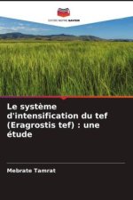 Le syst?me d'intensification du tef (Eragrostis tef) : une étude