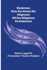 Wunderbare Reise des kleinen Nils Holgersson mit den Wildgänsen