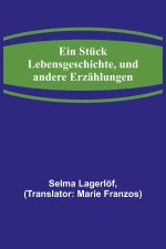 Ein Stück Lebensgeschichte, und andere Erzählungen