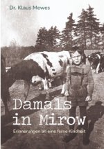 Damals in Mirow