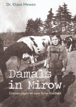 Damals in Mirow