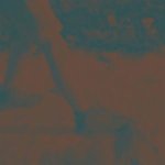 Ritual Howls (10 Year Deluxe Edition)
