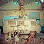Chien D'la Casse