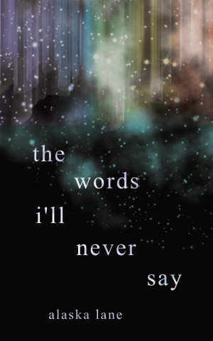 the words i'll never say