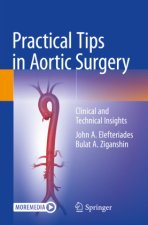 Practical Tips in Aortic Surgery